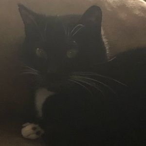 Meet your Posher, Tinamarie